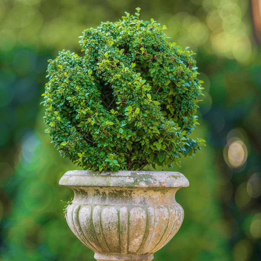 Shriyan Varma Projects - Water Feature